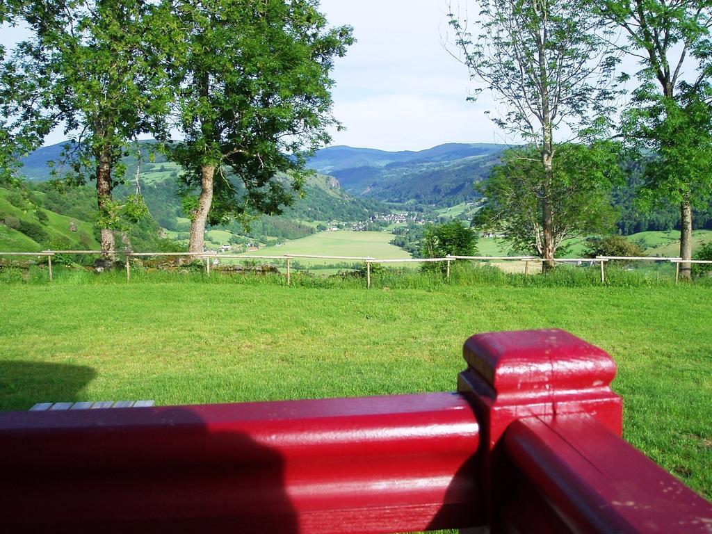 Domaine De La Chaux De Revel Pensionat Saint-Martin-Valmeroux Eksteriør billede