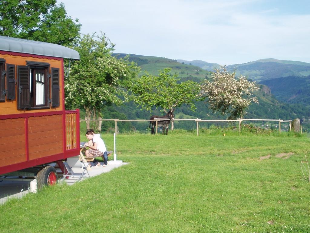 Domaine De La Chaux De Revel Pensionat Saint-Martin-Valmeroux Eksteriør billede