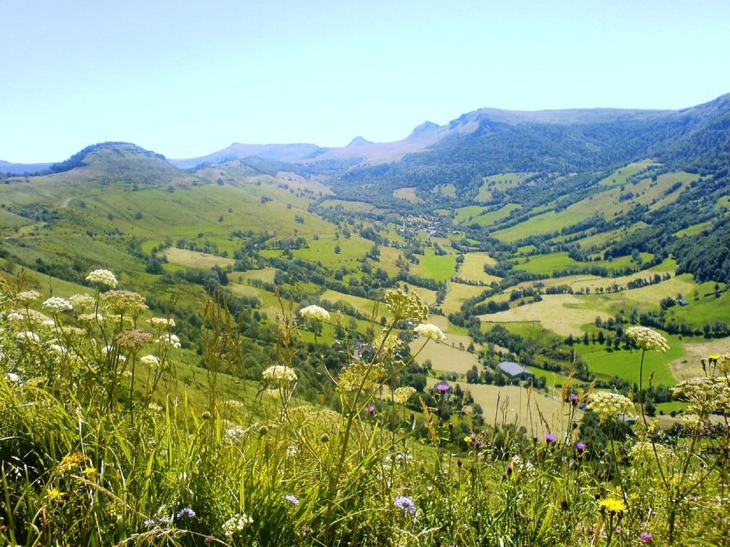 Domaine De La Chaux De Revel Pensionat Saint-Martin-Valmeroux Eksteriør billede