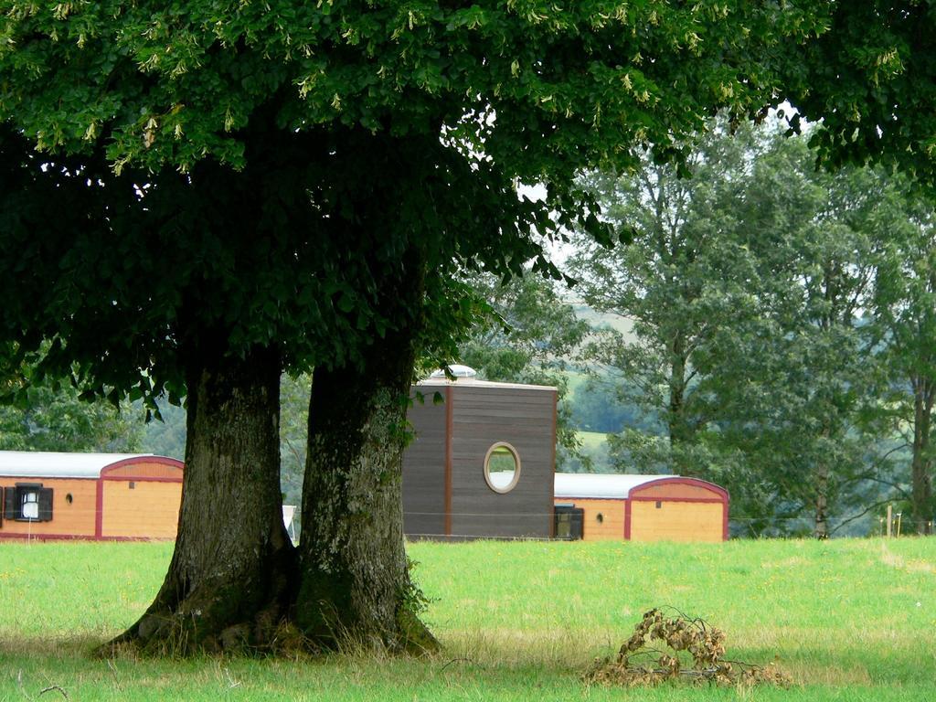 Domaine De La Chaux De Revel Pensionat Saint-Martin-Valmeroux Eksteriør billede